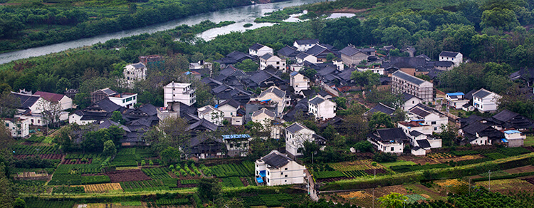 廉村全景图2.jpg
