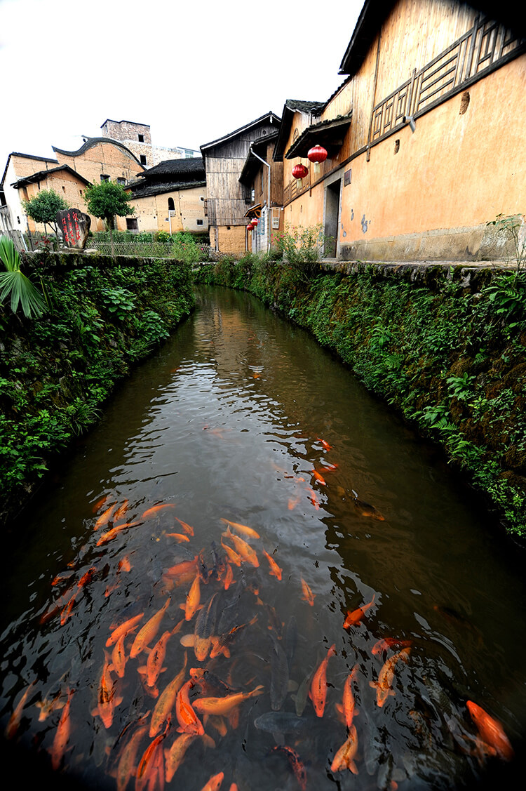 悠悠鲤鱼溪.JPG