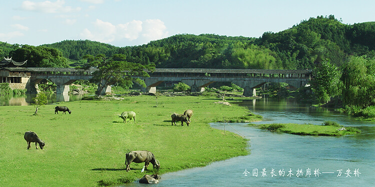 万安桥001.jpg