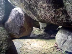 第10页-11.JPG
