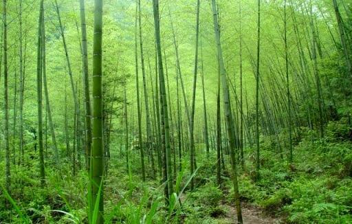 第6页-10.JPG