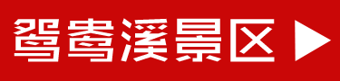 图片28.png
