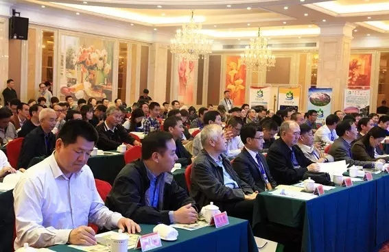 图片181.png