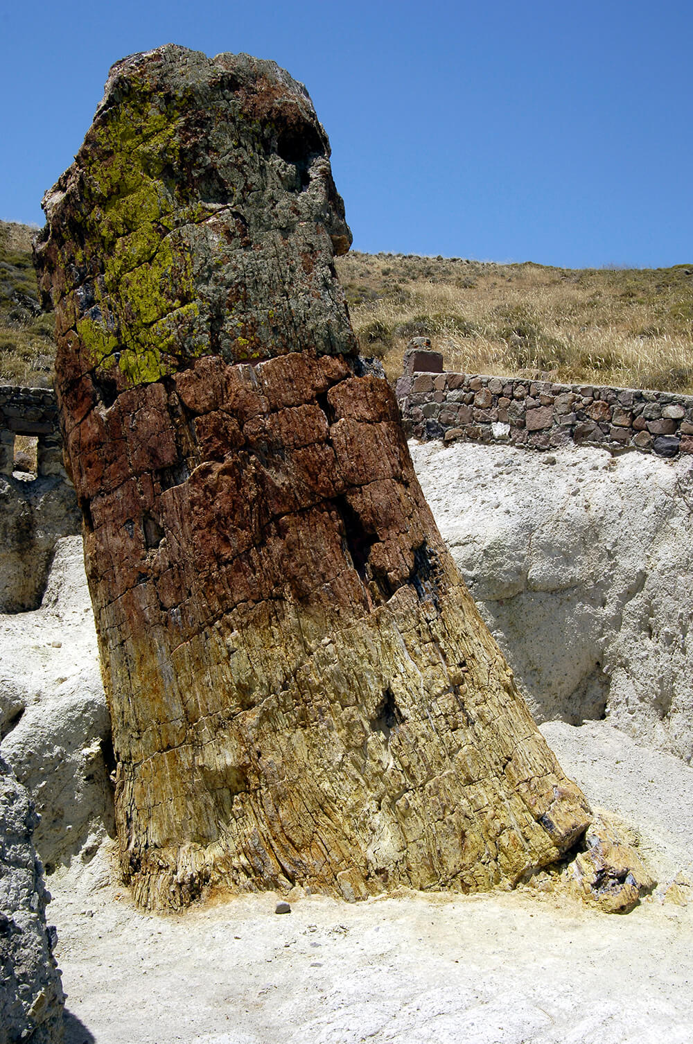 _DSC0925.jpg